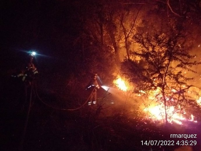 Incendio en la zona de la Cartuja de Jerez durante la noche. (Foto de archivo).