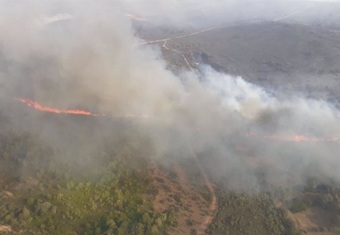 Incendio en Figueruela de Abajo (Zamora), que ha sido declarado de nivel 2.