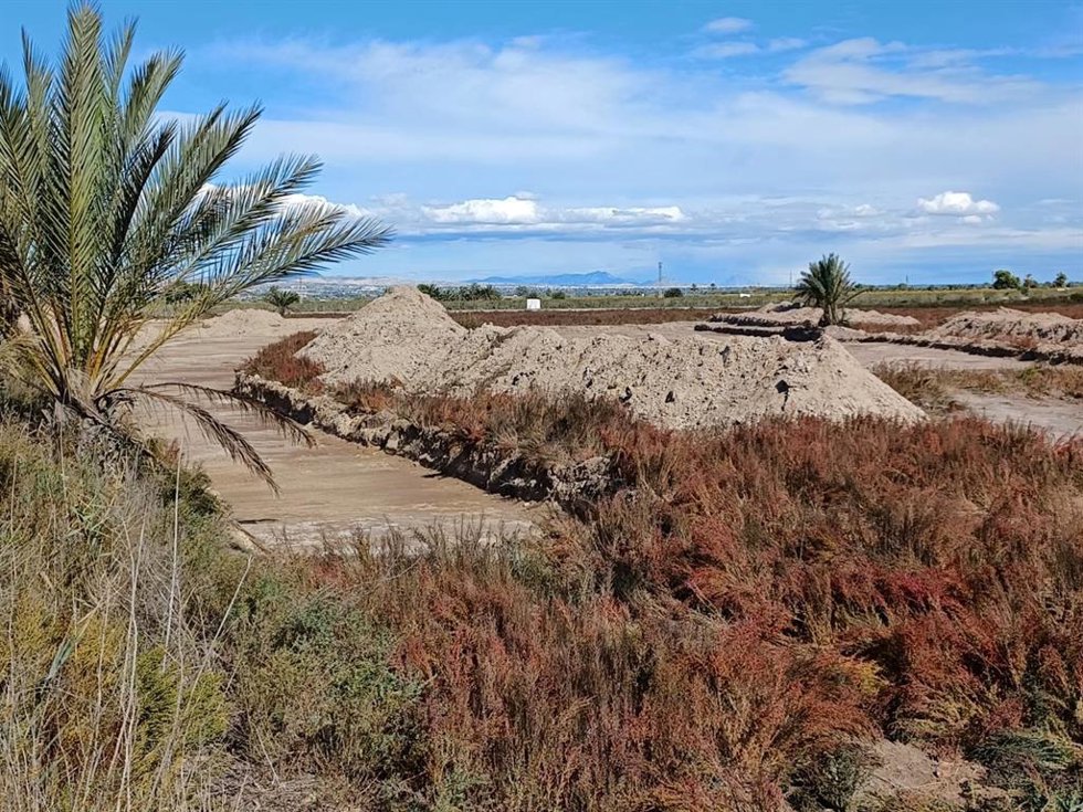 Archivo - La Generalitat inicia el procedimiento para declarar el campo de concentración de Albatera como Lugar de la Memoria Democrática