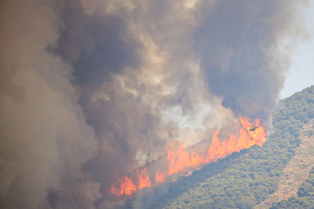 Más de un centenar de profesionales, 4 vehículos pesados de extinción y 16 medios aéreos trabajan  para la estabilización del incendio forestal en la sierra de Mijas a 15 de julio del 2022 en Alhaurín el Grande (Málaga, Andalucia, España)