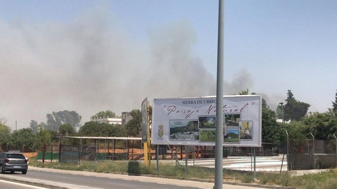 La zona de La Teja en Jerez de la Frontera, afectada por un foco de incendio