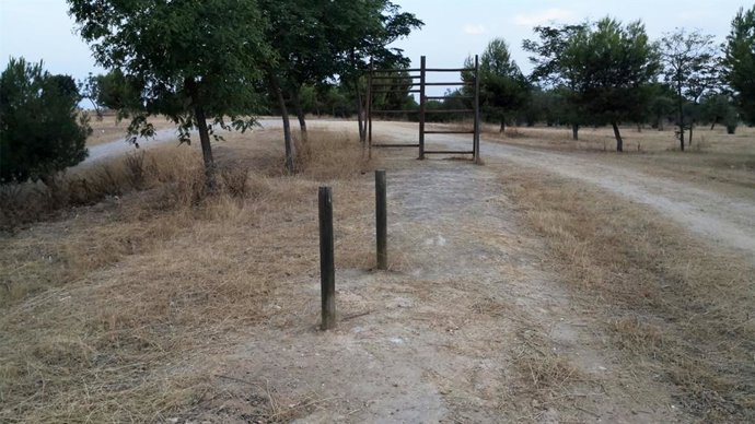Estado actual del parque 'Puente Verde' de Los Palacios.