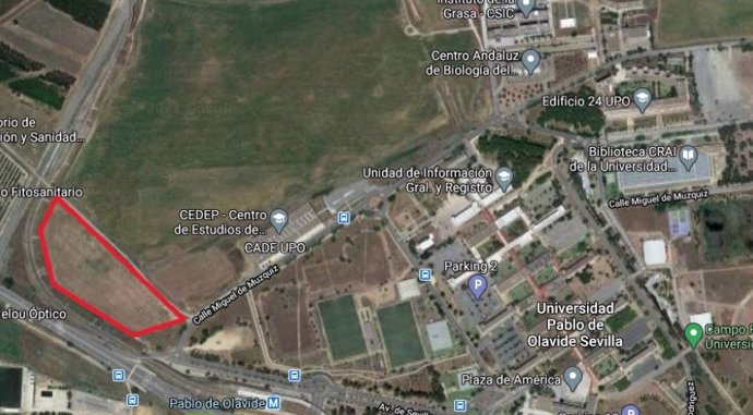 Imagen aérea del campus de la Pablo de Olavide en el que se señala en rojo la ubicación exacta de la planta solar fotovoltaica para consumo de la universidad.