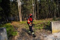 Unos 800 efectivos de Bomberos de Portugal combaten contra once incendios activos en el país