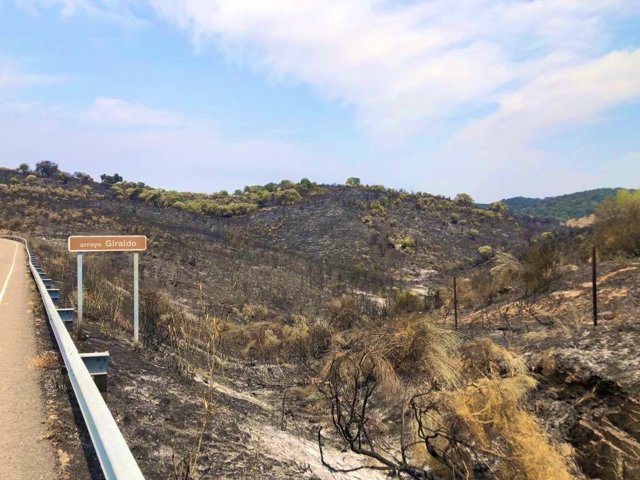 Zona calcinada en el incendio de Casas de Miravete.