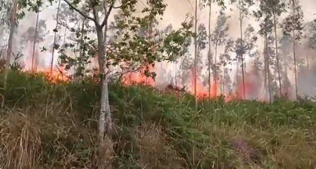 Archivo - Incendio en el Alto Turujal