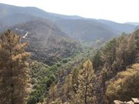 Continúan durante esta noche los trabajos de vigilancia ante posibles reactivaciones en Las Hurdes y Monfragüe