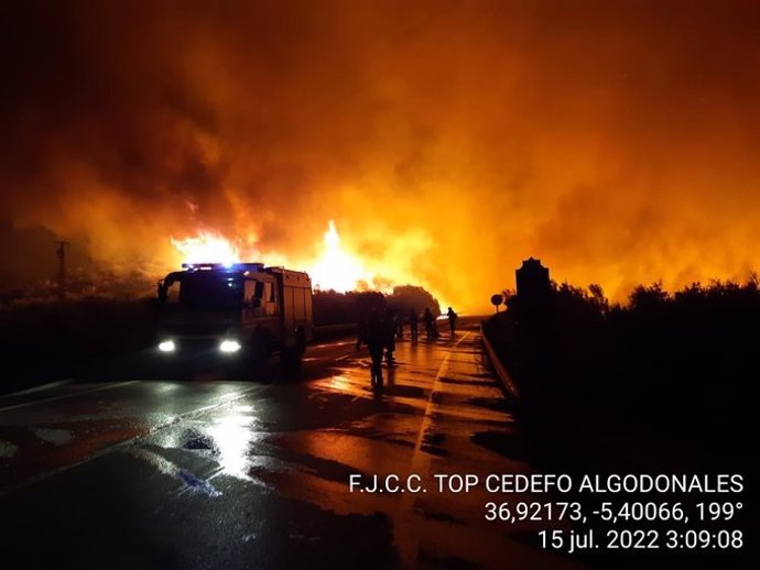 Incendio forestal en un paraje rural de Olvera (Cádiz)