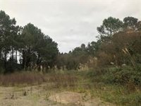 Euskadi mantendrá el martes la alerta naranja por incendios en Álava y el aviso amarillo en la zona cantábrica interior