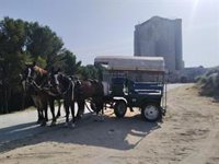 Cuatro vecinos de Íscar (Valladolid) recorrerán 720 kilómetros para ir al Rocío con una carreta tirada por tres caballos