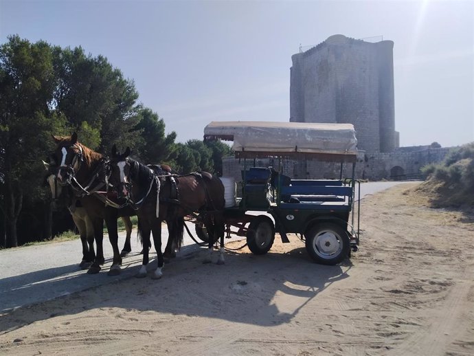 Carreta con la que cuatro vecinos de Íscar acudirán al Rocío en agosto.