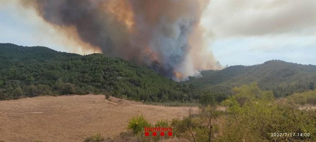 Imatge del foc forestal al municipi del Pont de Vilomara i Rocafort