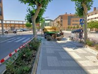 La reforma del paseo de la Constitución de Ejea de los Caballeros ascenderá a unos dos millones de euros