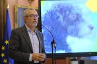 Flores (PSOE) replica al PP que en limpieza o servicios públicos "Málaga no puede dar ninguna lección a Sevilla"