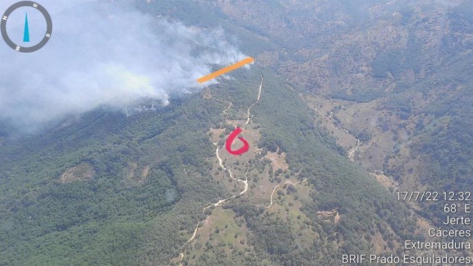 Incendio forestal