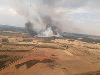 Muere un brigadista que trabaja en la extinción del incendio de Losacio (Zamora)