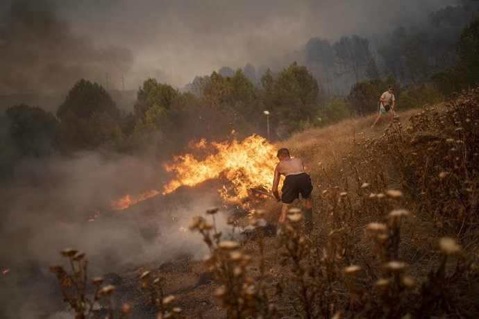 Vens collaboren en les tasques d'extinció
