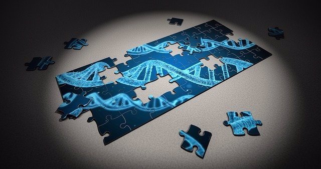 Archivo - ADN, Gen, Genoma
