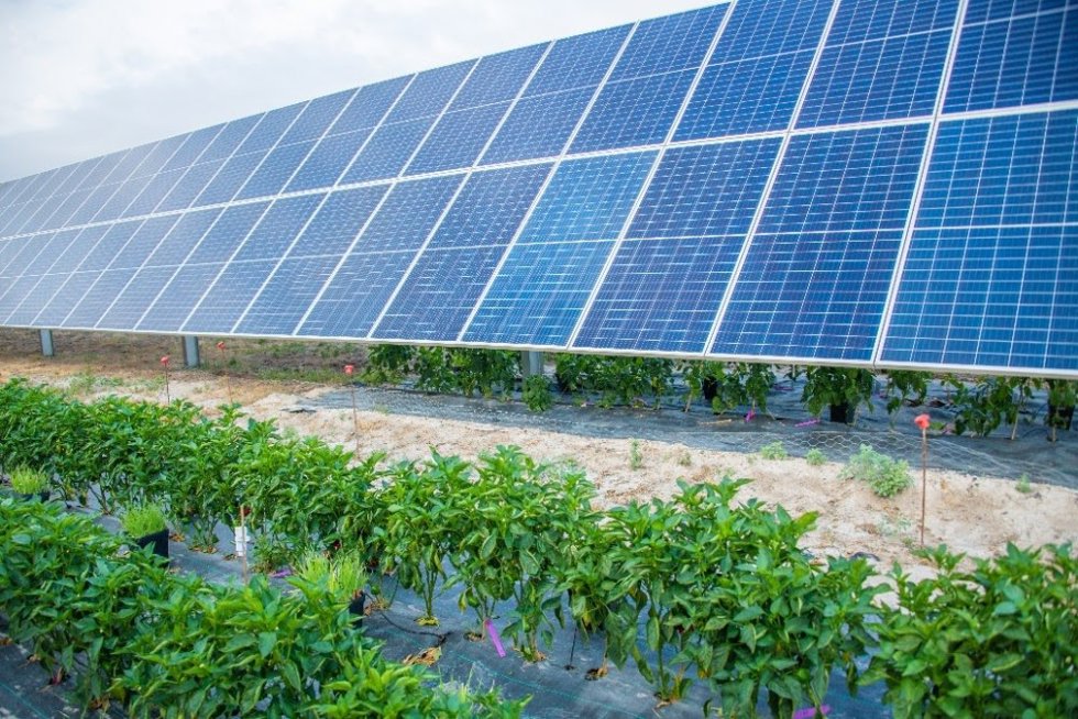 Instalación solar de Endesa