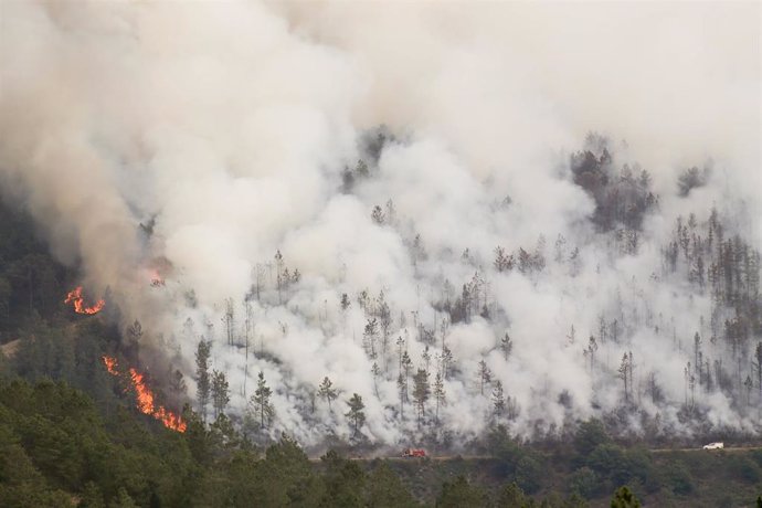 Labores de extinción del fuego en la Sierra de Caurel (Lugo)