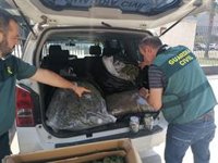 Once detenidos en La Rinconada (Sevilla) con 18 kilos de marihuana envasada al vacío dispuesta para su venta