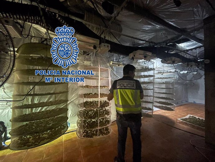 La Policía Nacional ha detenido a seis personas integrantes de una organización criminal dedicada a la distribución de marihuana a países del norte y centro de Europa