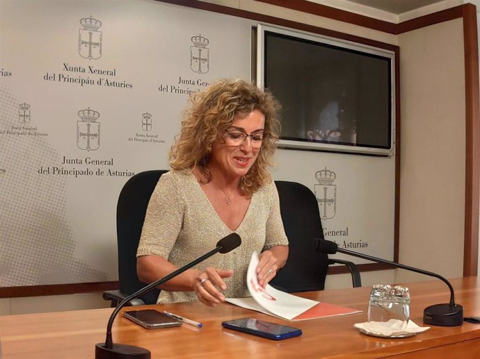 La portavoz de Ciudadanos en la Junta General, Susana Fernández, en rueda de prensa.