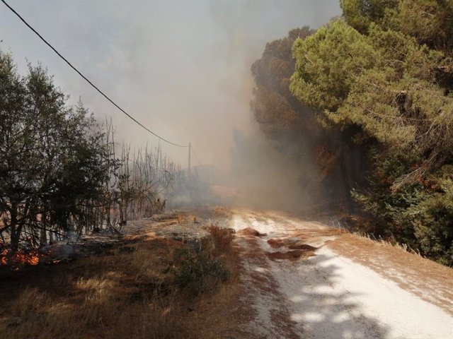 Incendio junto a carretera AP-4 (dirección Jerez)