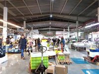 Podemos pide al Gobierno datos del impacto en Basauri del traslado de Mercabilbao y si hay plan de compensación