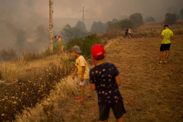 Uns nens observen l'incendi forestal.
