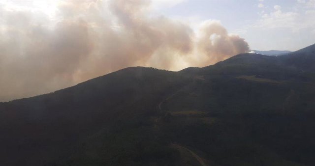 Incendio en Montes de Valdueza.