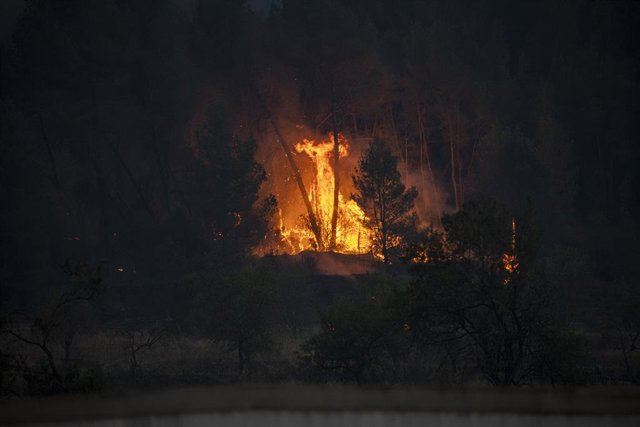 Els efectius durant les tasques d'extinció de l'incendi 