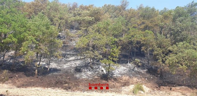 L'incendi de Castellar de la Ribera (Lleida)