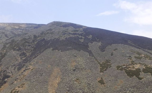 Zona afectada por el fuego en Navalonguilla (Ávila)