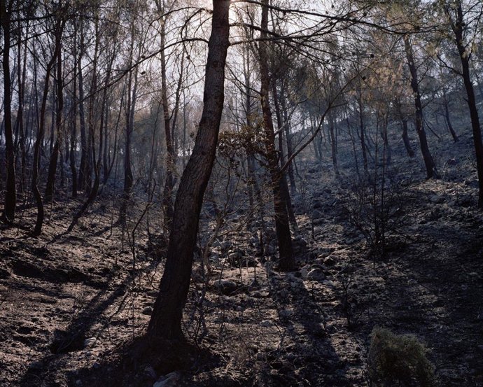 Fotografía de Eduardo Nave.