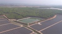 La CHG inicia acciones para "salvaguardar" las lagunas de Doñana y cumplir con la sentencia del Tribunal Europeo