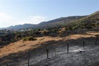 Controlados los incendios de Las Hurdes y Casas de Miravete (Cáceres), mientras el de Jerte se declara estabilizado