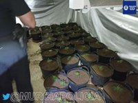 La Policía Local de Murcia descubre una plantación de marihuana en una casa gracias a un incendio