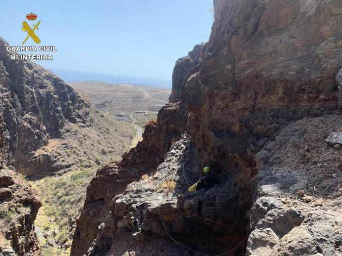 La Guardia Civil rescata a un perro atrapado en un barranco en Tenerife