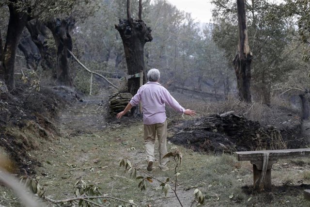 Una persona camina por una de las zonas quemadas por el incendio de Folgoso do Courel, a 18 de julio de 2022, en Folgoso do Courel, Lugo, Galicia (España). La superficie arrasada por los principales incendios registrados en Galicia ya supera las 9.000 hec