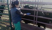 Andalucía aprueba 3,5 millones de euros en ayudas para erradicar y controlar las enfermedades animales