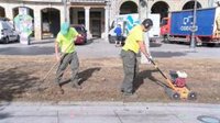 El Ayuntamiento de Pamplona trabaja en la recuperación natural de los jardines de la ciudad