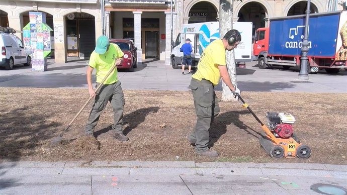 Trabajos para recuperar los jardines de Pamplona.