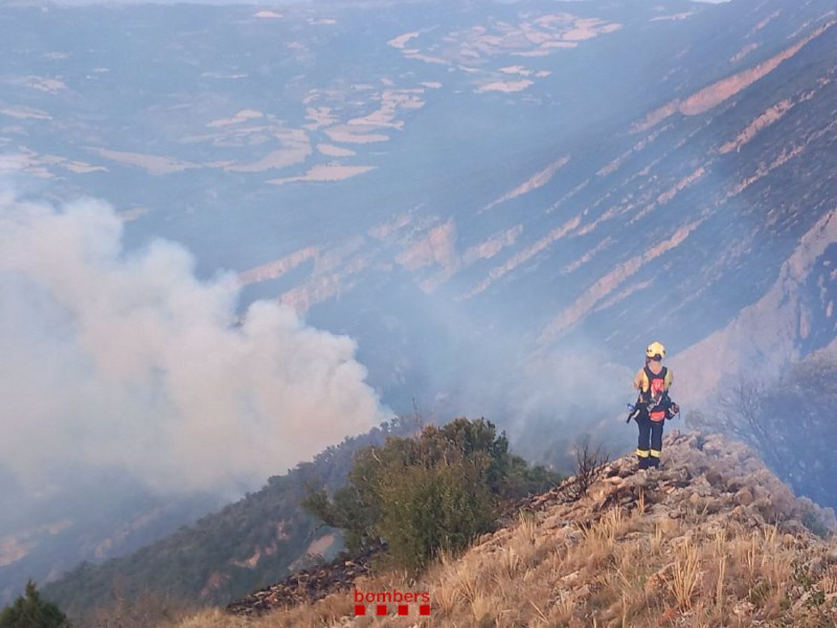 El Fuego Arrasa Ya Casi 60 000 Hectáreas En Seis Comunidades Autónomas