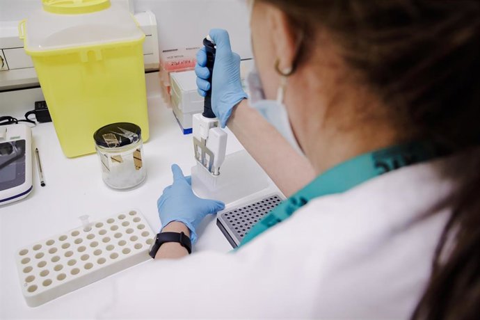 Archivo - Una técnico de laboratorio prepara una PCR para el análisis de la viruela del mono