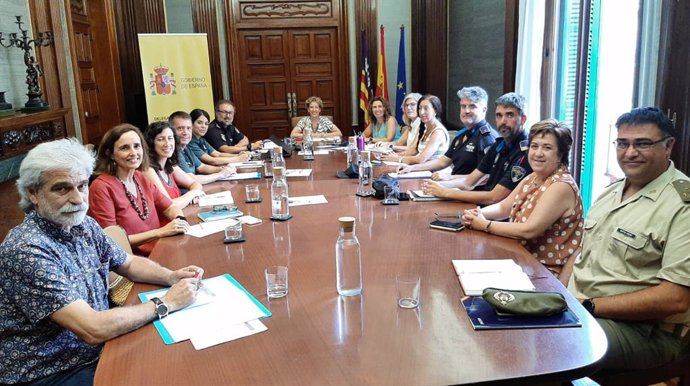 Reunión de análisis del Plan Director para la Convivencia y Mejora de la Seguridad en los Centros Educativos y sus entornos.