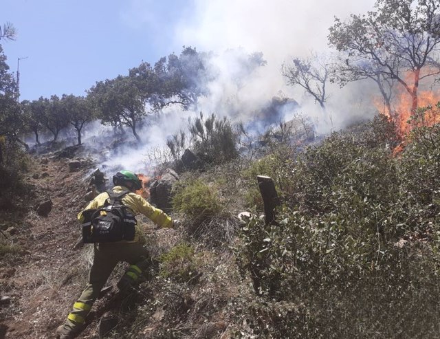 Bomberos del Infoca trabajan en la extinción del incendio forestal declarado el viernes 15 de julio en la Sierra de Mijas y que se ha dado por estabilizado el domingo. (Foto de archivo).