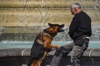 Reino Unido bate un nuevo récord de temperatura máxima tras registrar 40,3ºC en Lincolnshire