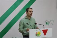 IU pide un grupo de expertos en Andalucía para nuevas estrategias contra incendios y redoblar recursos para prevención
