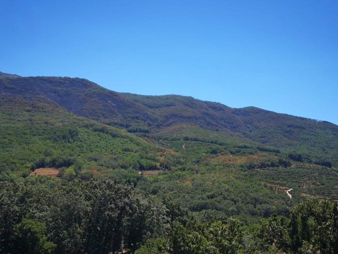 Valle del Jerte